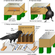 New Caledonian Crow tool innovation test.